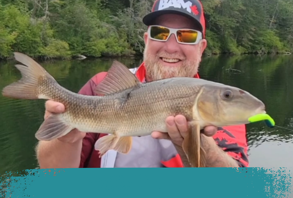 Soft Plastics Collection