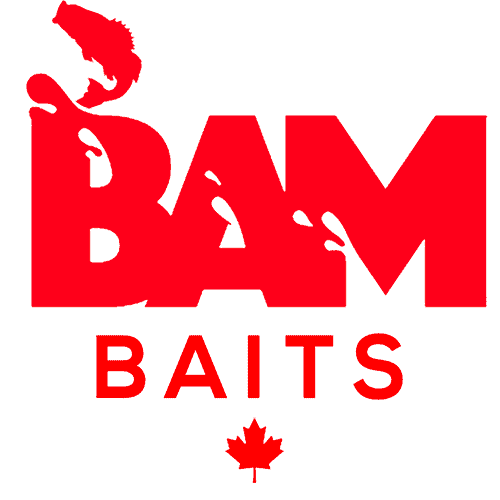 Bam Baits Bumper Stickers image 0