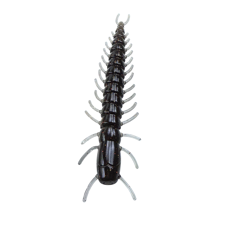 Centipede on a black background