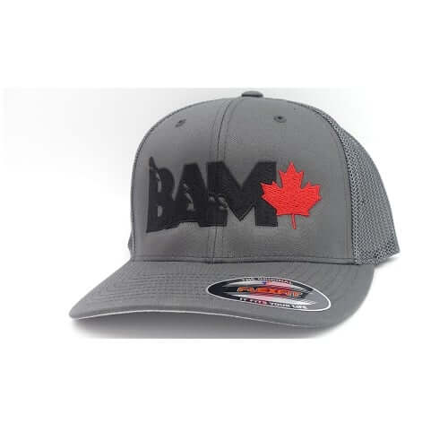 Bam Baits 6 Panel FlexFit Fishing Hats image 0